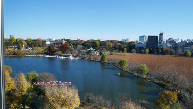 LUCIS東天紅【SOL ROOM】披露宴会場から見える景色（不忍池・上野公園）